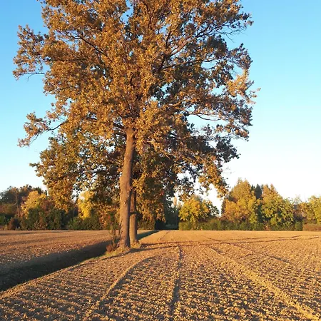 La Delle Rose Séjour à la campagne *
