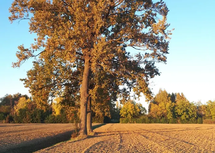 La Delle Rose Летний дом *